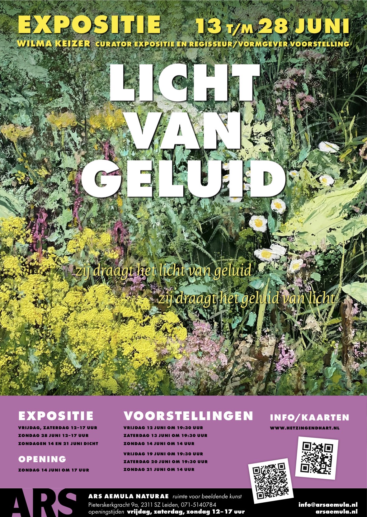 Licht van Geluid